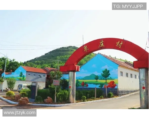 老李球星卡足球收藏热潮揭秘与市场前景分析